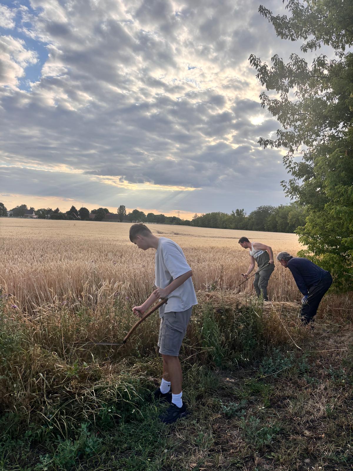 Jung und Alt arbeiten gemeinsam für die Erntekrone